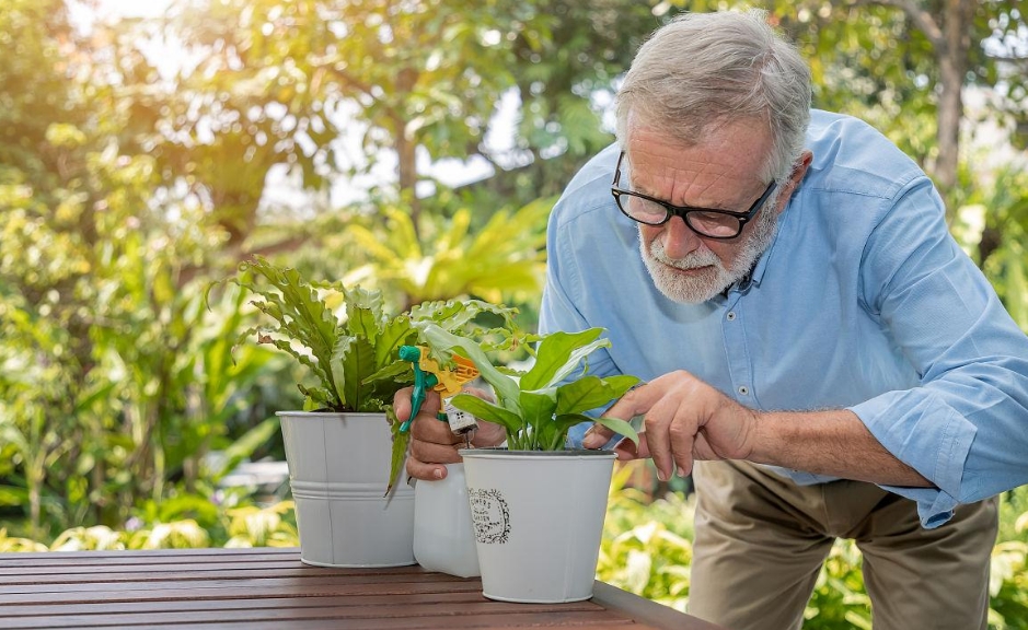 从植物入手：华东生物教你如何选择适合高血压患者的绿色伙伴